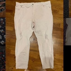 Eloquii Distressed Jeans